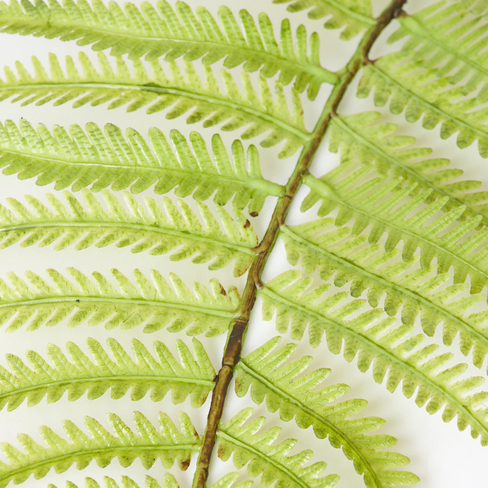 Fern Branch, Wood Fern (Dryopteris), Artificial, 109cm