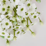 Gypsophila Spray, Artificial, White, 65cm