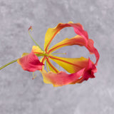 A close up of a faux gloriosa with a pink-yellow flower