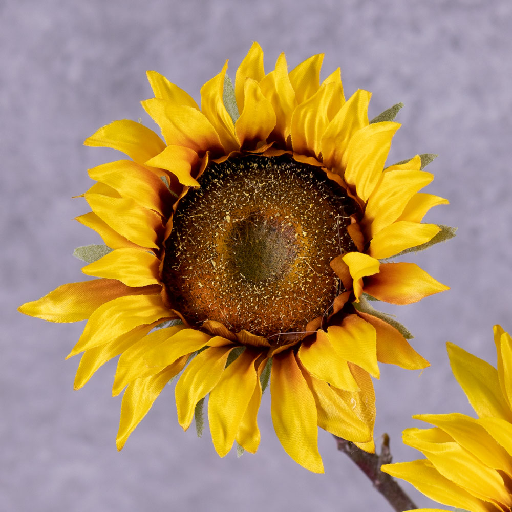 A close up of a single, faux, sunflower head in rich yellow