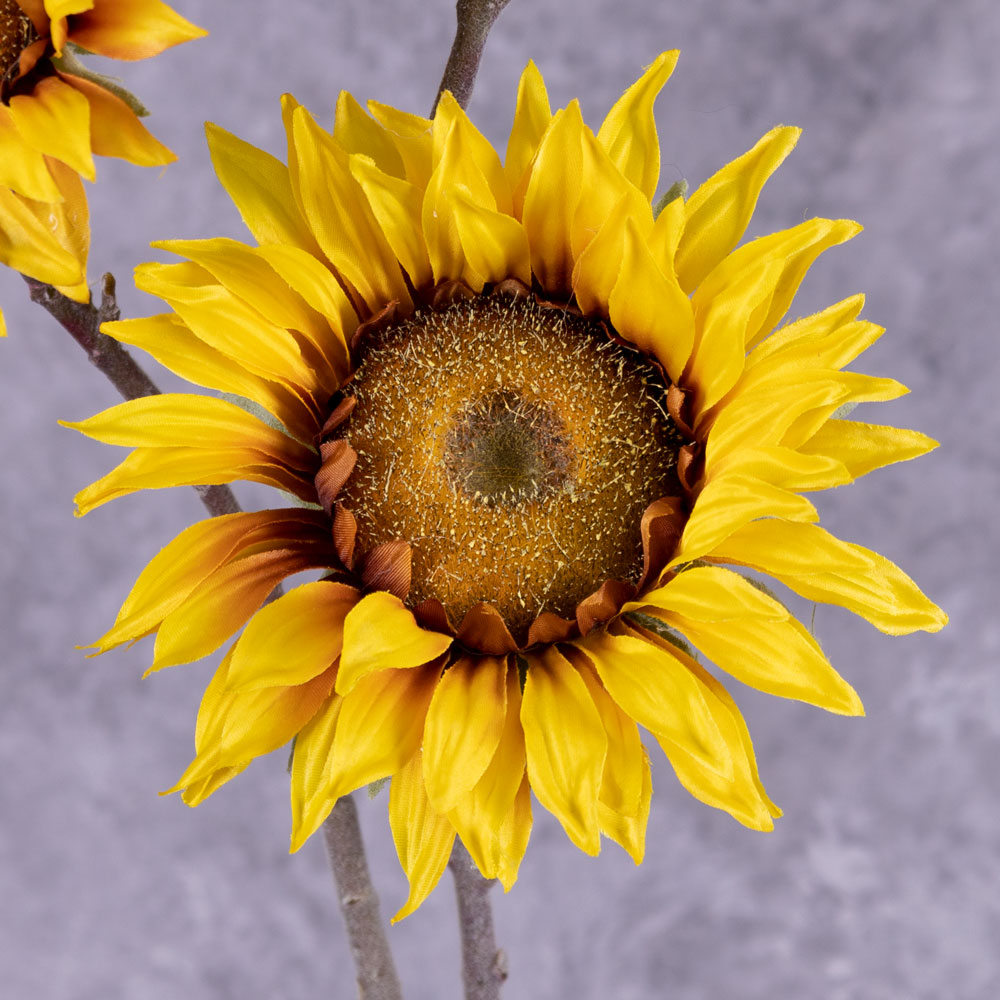 A close up of a single, faux, sunflower head in rich yellow