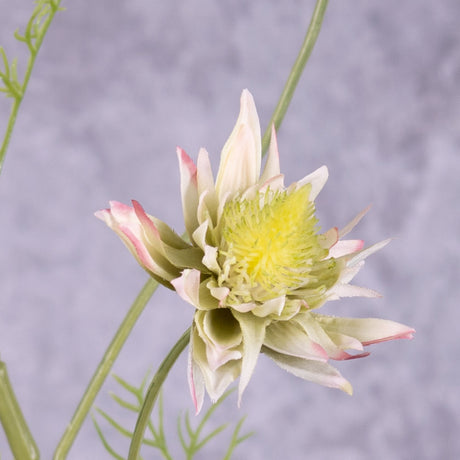 A close up of a faux protea flower in a green/pink colour