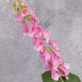 A single faux, pink foxglove stem close up