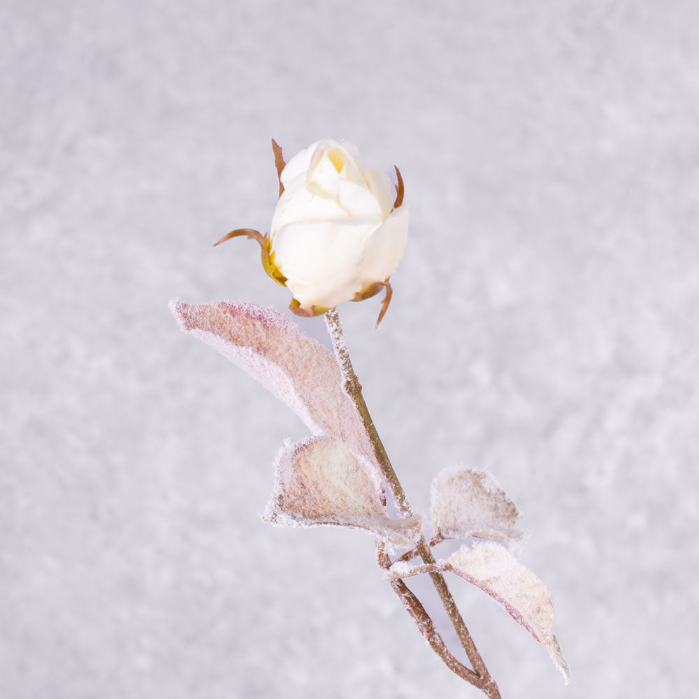 Rose Spray With Snow (Silk-ka), White, 126cm