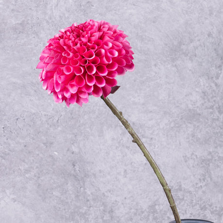 Dahlia Stem (Silk-ka), Fuchsia, 64cm