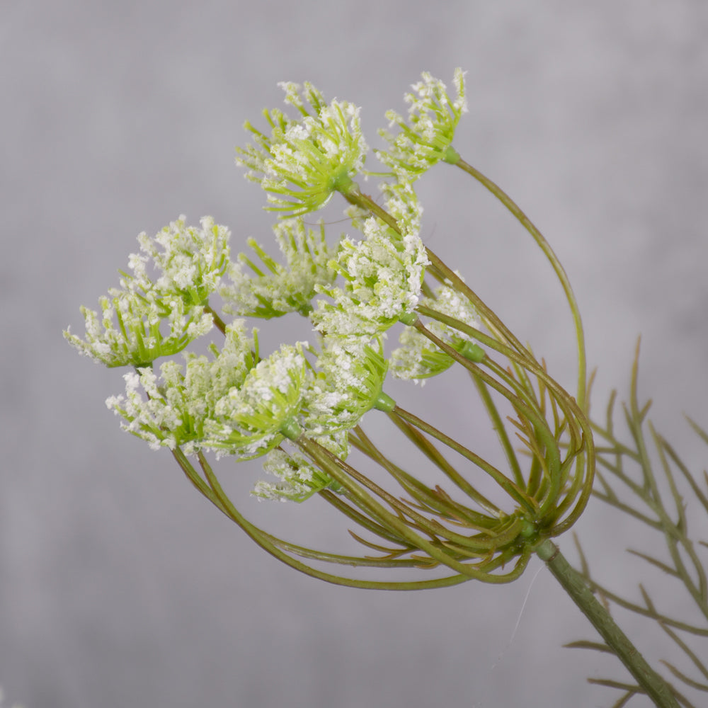 Queen Anne's Lace Spray (Silk-ka), Artificial, White, 84cm