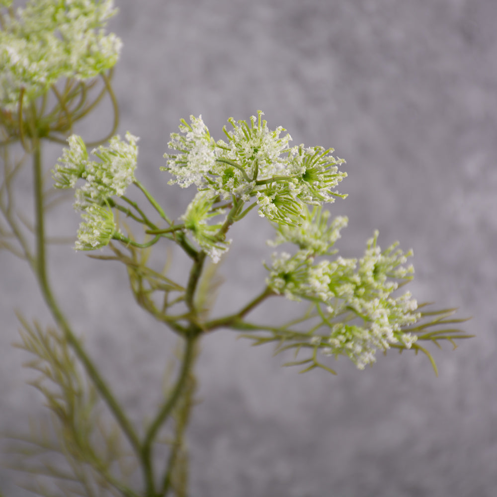 Queen Anne's Lace Spray (Silk-ka), Artificial, White, 84cm