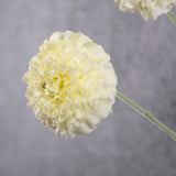 Marigold spray (Silk-ka), Artificial, Cream, 91cm