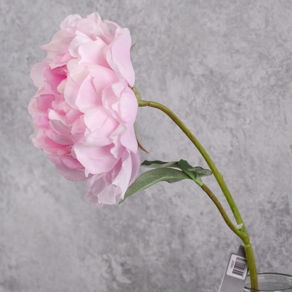 Peony Stem (Silk-ka), Artificial, Pink, 57cm