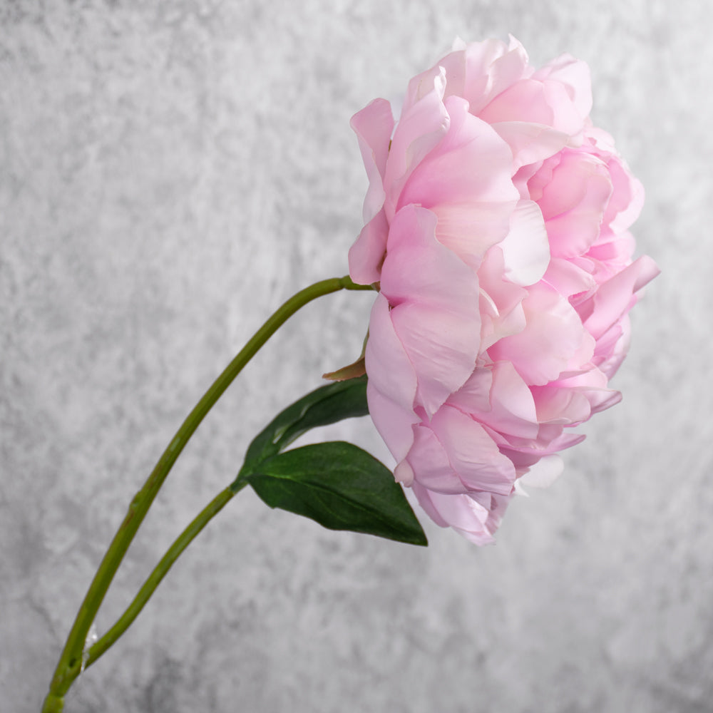 Peony Stem (Silk-ka), Artificial, Pink, 57cm