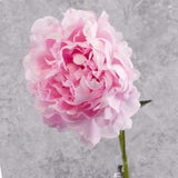 Peony Stem (Silk-ka), Artificial, Pink, 57cm