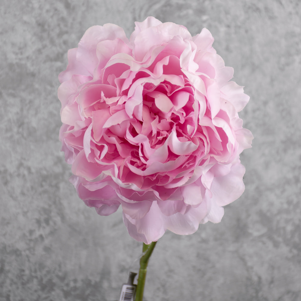 Peony Stem (Silk-ka), Artificial, Pink, 57cm