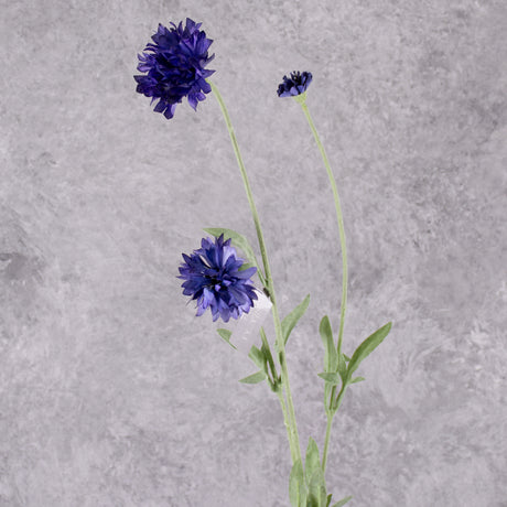 Cornflower (Silk-ka), Artificial, Dark Lavender, 65cm