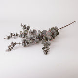 Eucalyptus Spray (Silk-ka), Artificial, Grey 105cm