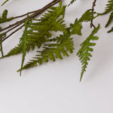 Asparagus Fern Spray (Silk-ka), Artificial, Green, 124cm