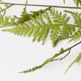 Asparagus Fern Spray (Silk-ka), Artificial, Green, 124cm