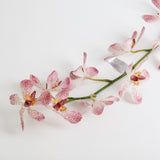 Vanda Orchid Spray (Silk-ka), Artificial, Pink, 108cm