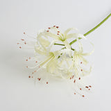 Nerine Stem (Silk-ka), Artificial, Cream, 90cm