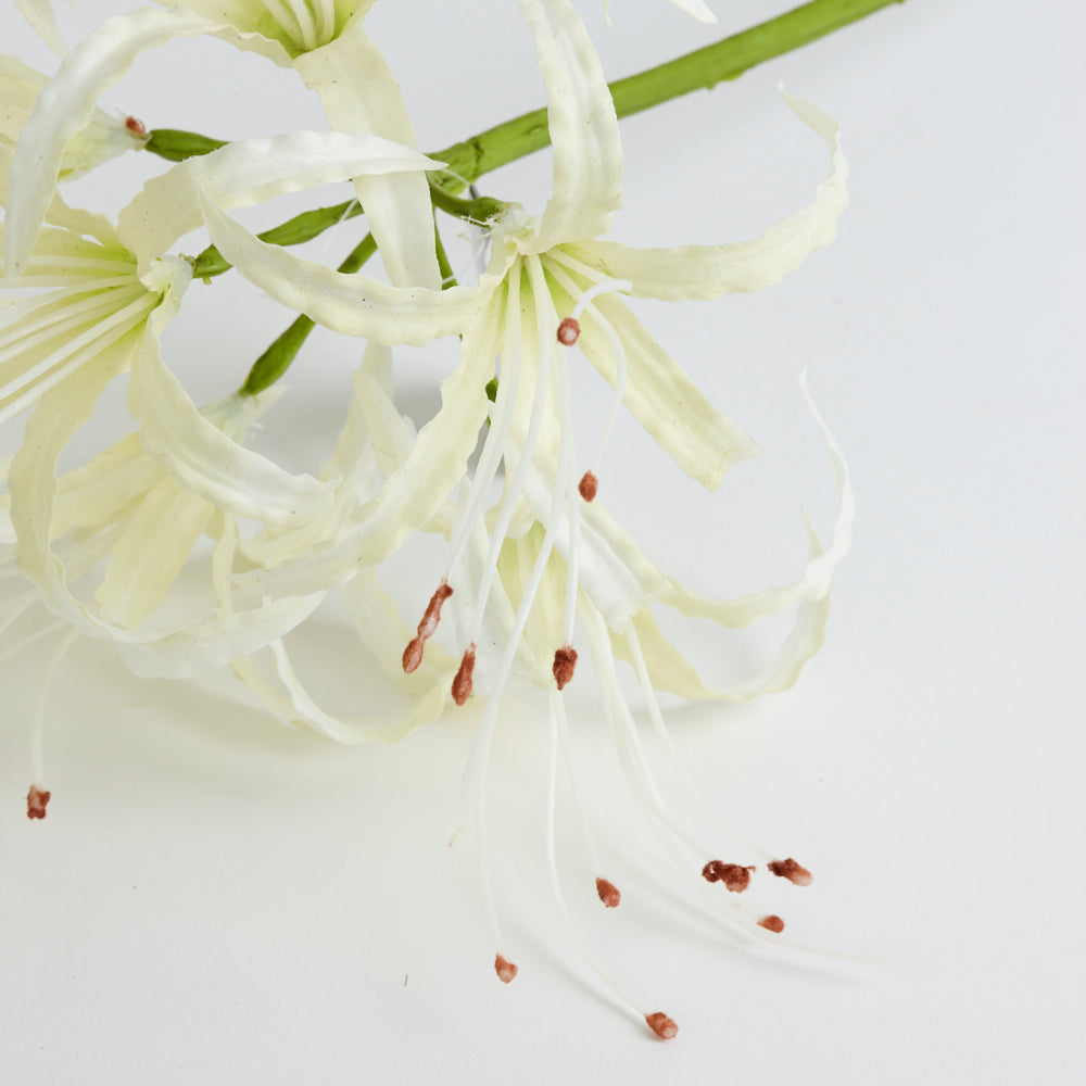 Nerine Stem (Silk-ka), Artificial, Cream, 90cm