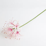 Nerine Stem (Silk-ka), Artificial, Pink, 90cm