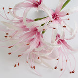 Nerine Stem (Silk-ka), Artificial, Pink, 90cm