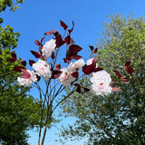 A group of faux Camellia sprays shown against a bright blue sky and lush green trees