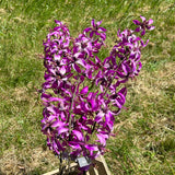 A set of three faux lily stems, in a lavender and cream colour set against a bright blues sky so they capture the sunlight