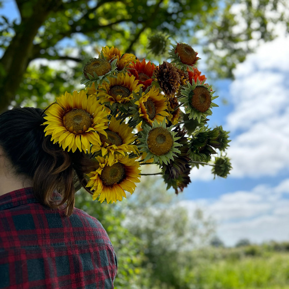 A group of different coloured, sized, and shaped faux sunflowers, displayed in a meadow against a bright, sunny sky