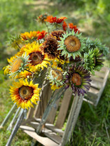 A group of different coloured, sized, and shaped faux sunflowers, displayed in a meadow against a bright, sunny sky