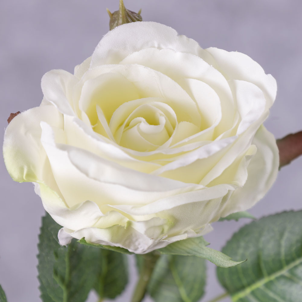 Rose Jessica, White, 32cm, Faux - Atlas Flowers