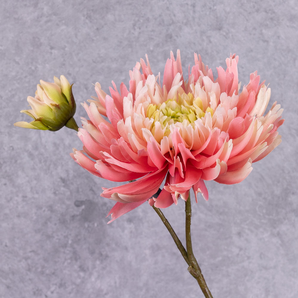 https://www.atlasflowers.co.uk/wp-content/uploads/2023/04/XS6023-Faux-Chrysanthemum-Pink-78cm-Silk-Ka-300x300.jpg